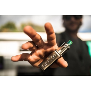 KIT Gecko 40W JWELL