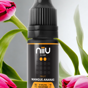 mangue ananas 10ml jwell