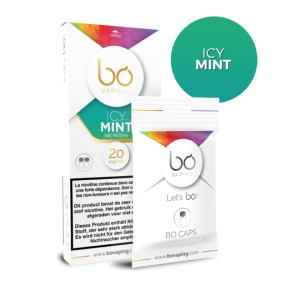 Icy Mint sels de nicotine BO VAPING