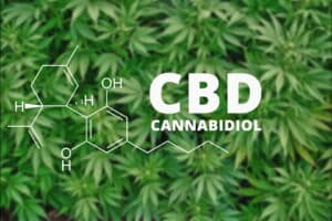 CBD CANNABIDIOL