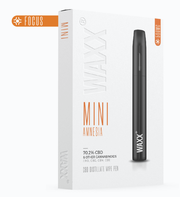 waxx amnésia